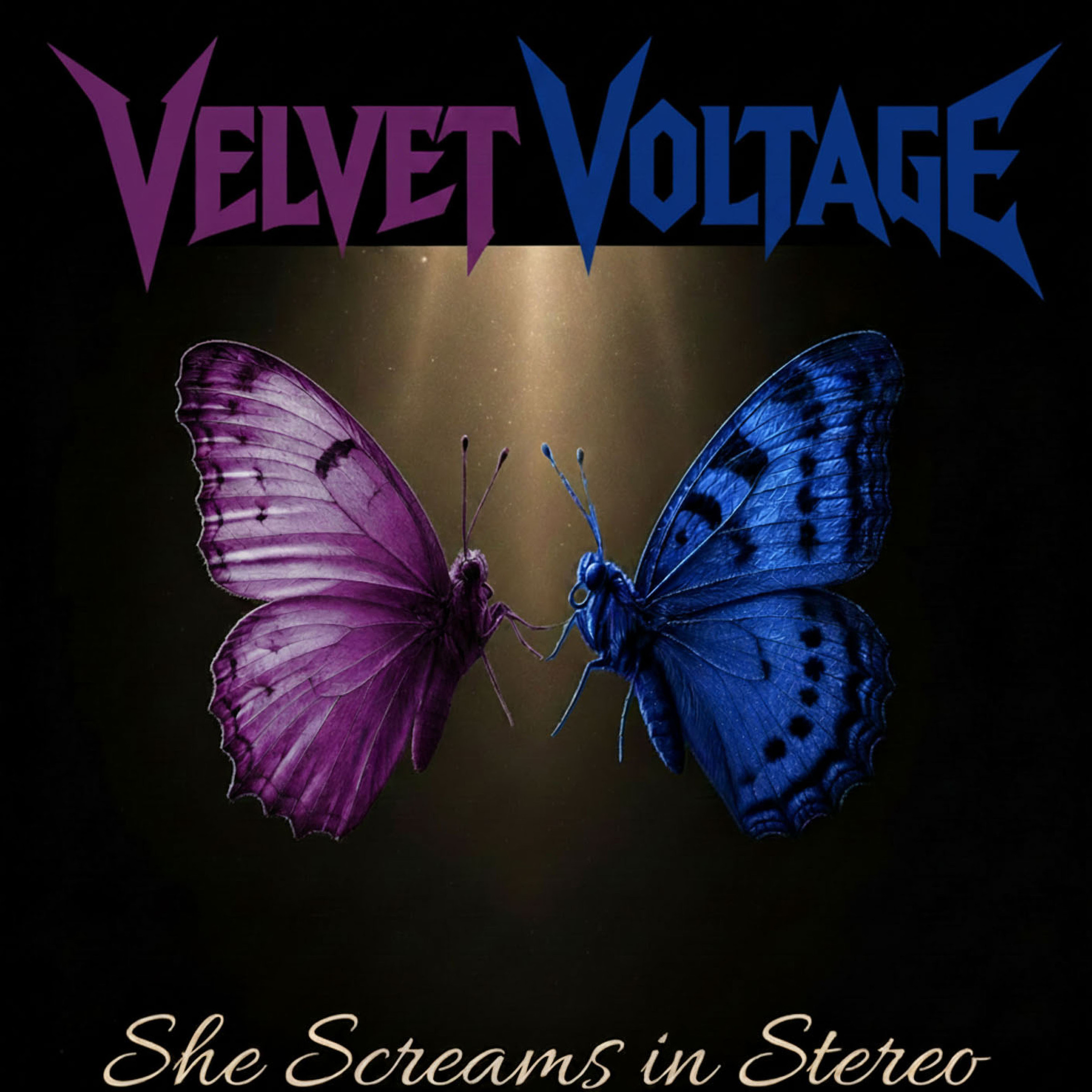 She Screams in Stereo album cover